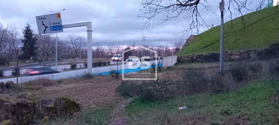 Terreno Agricola ou Rústico para Venda em Guarda Foto 6