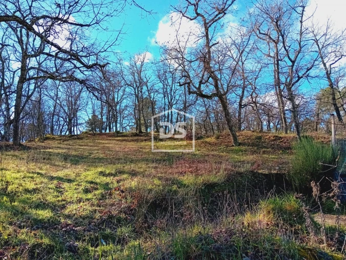 Terreno Agricola ou Rústico para Venda em Guarda Foto 5