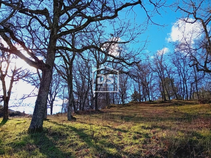 Terreno Agricola ou Rústico para Venda em Guarda Foto 4