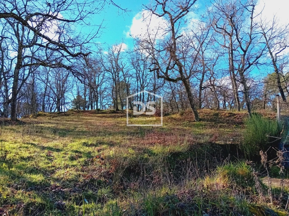 Terreno Agricola ou Rústico para Venda em Guarda Foto 5