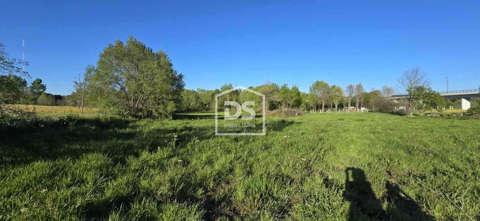 Terreno Agricola ou Rústico para Venda em Guarda Foto 14