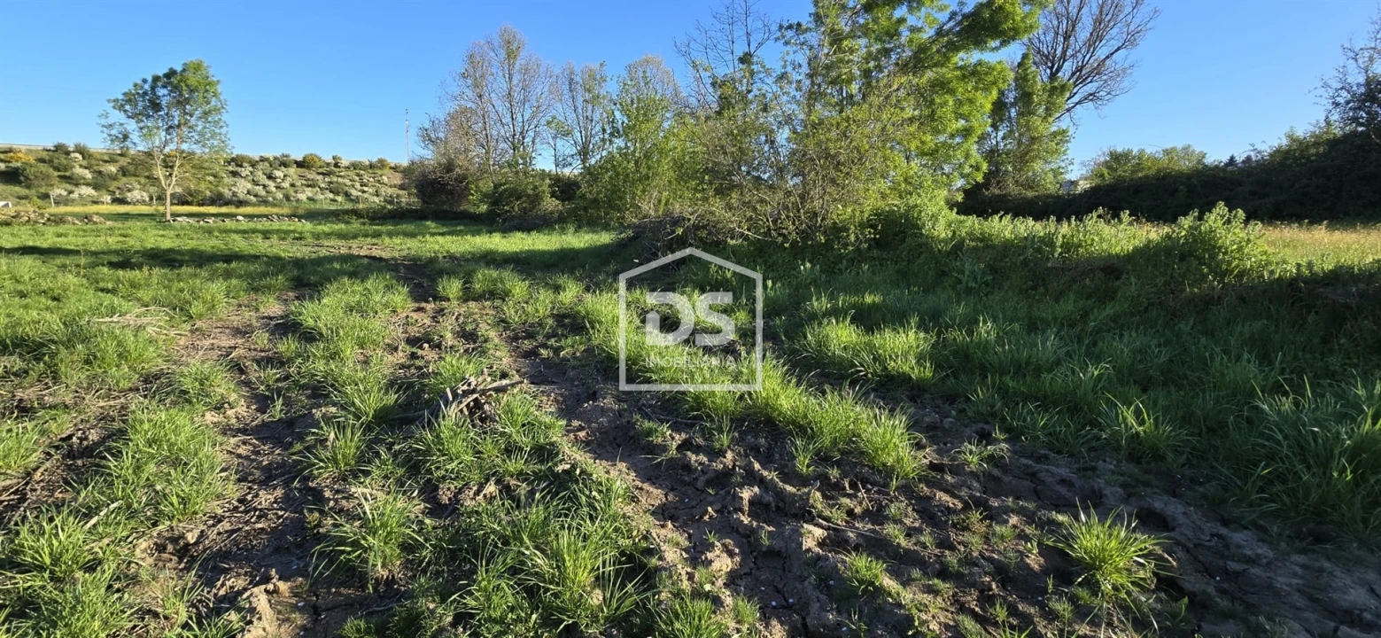 Terreno Agricola ou Rústico para Venda em Guarda Foto 15