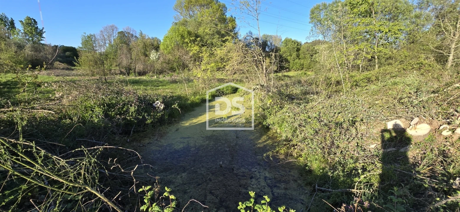 Terreno Agricola ou Rústico para Venda em Guarda Foto 10