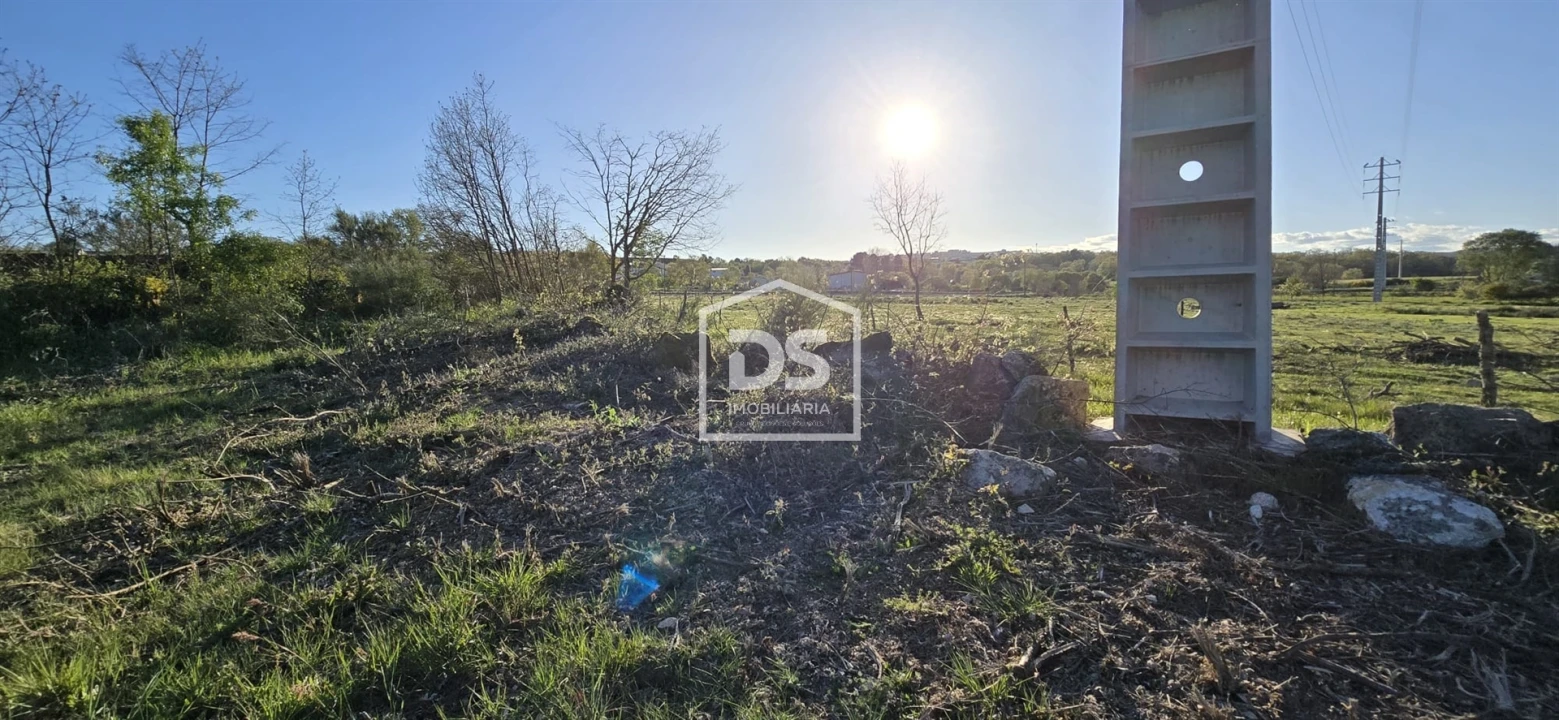 Terreno Agricola ou Rústico para Venda em Guarda Foto 3