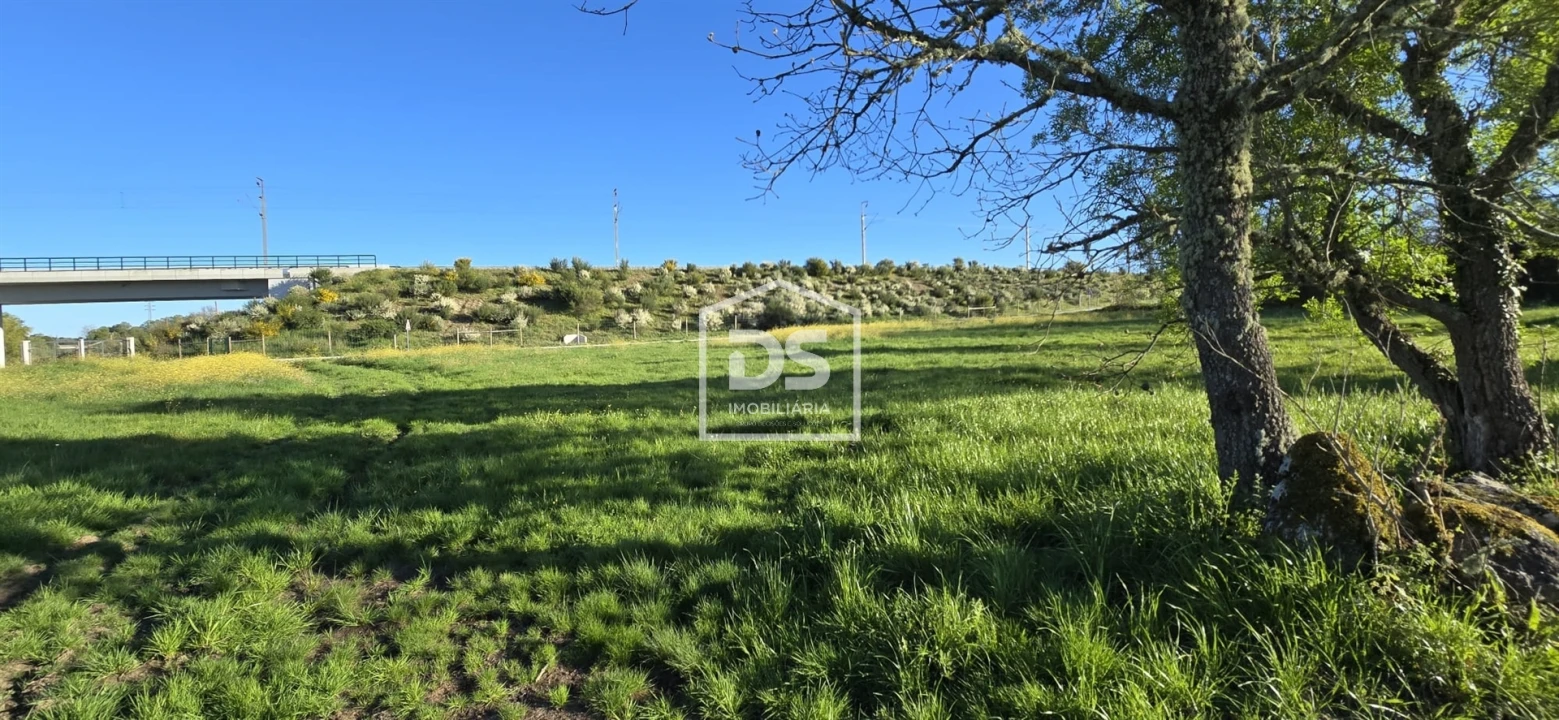 Terreno Agricola ou Rústico para Venda em Guarda Foto 12