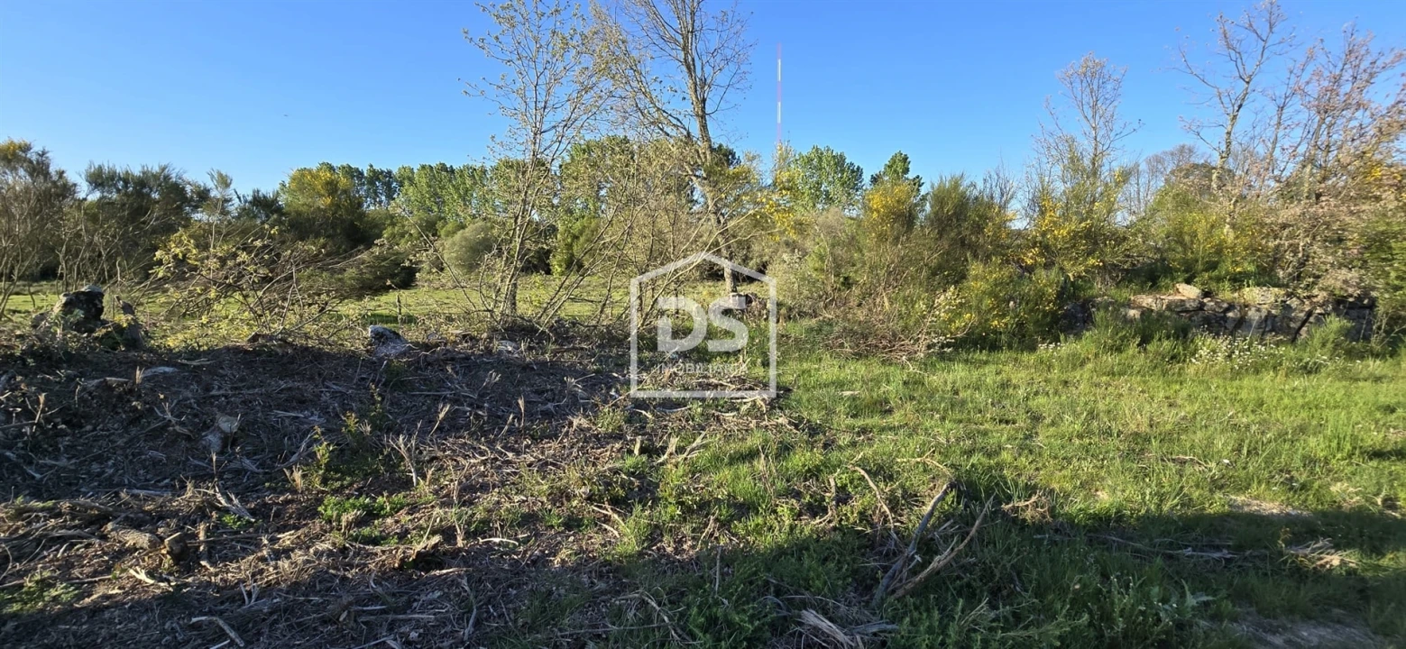 Terreno Agricola ou Rústico para Venda em Guarda Foto 4