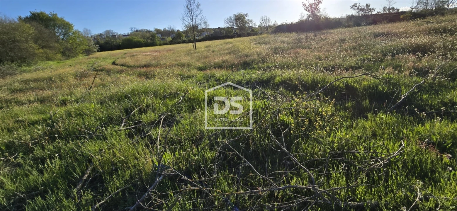 Terreno Agricola ou Rústico para Venda em Guarda Foto 8