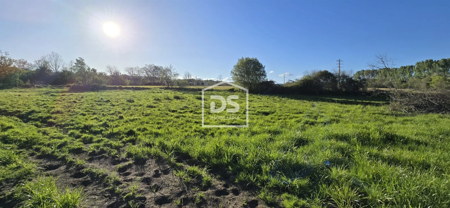 Terreno Agricola ou Rústico para Venda em Guarda Foto 13