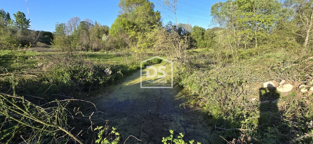 Terreno Agricola ou Rústico para Venda em Guarda Foto 10