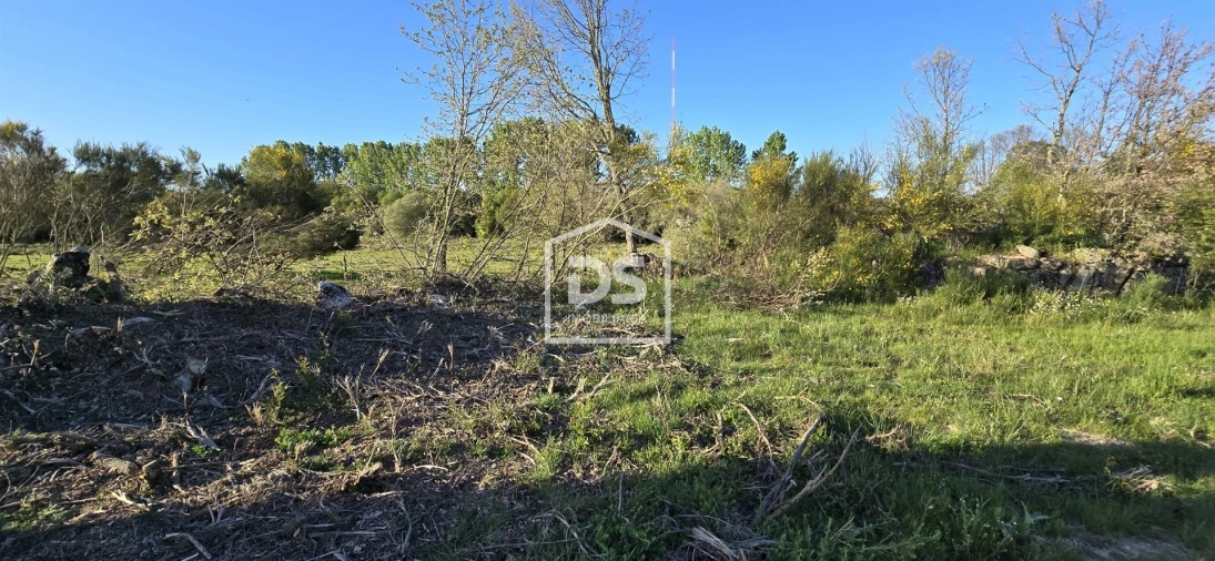 Terreno Agricola ou Rústico para Venda em Guarda Foto 4