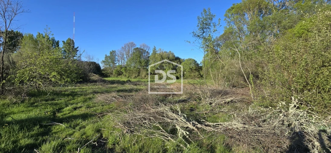 Terreno Agricola ou Rústico para Venda em Guarda Foto 6