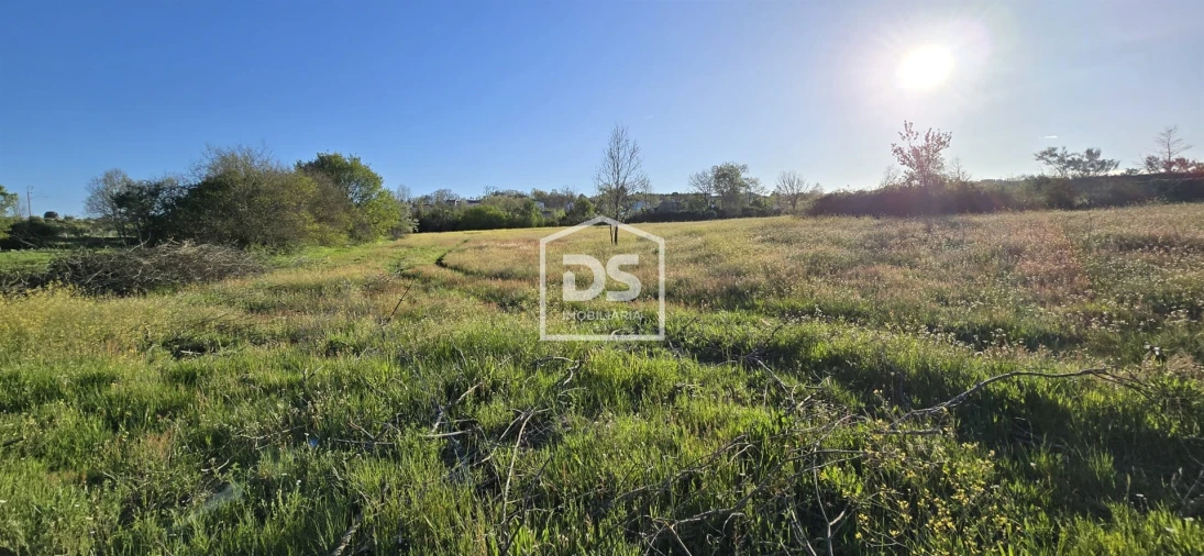 Terreno Agricola ou Rústico para Venda em Guarda Foto 7
