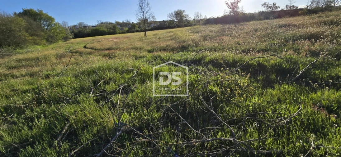 Terreno Agricola ou Rústico para Venda em Guarda Foto 8