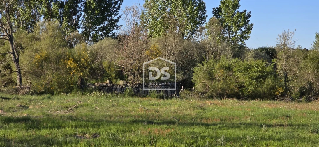 Terreno Agricola ou Rústico para Venda em Guarda