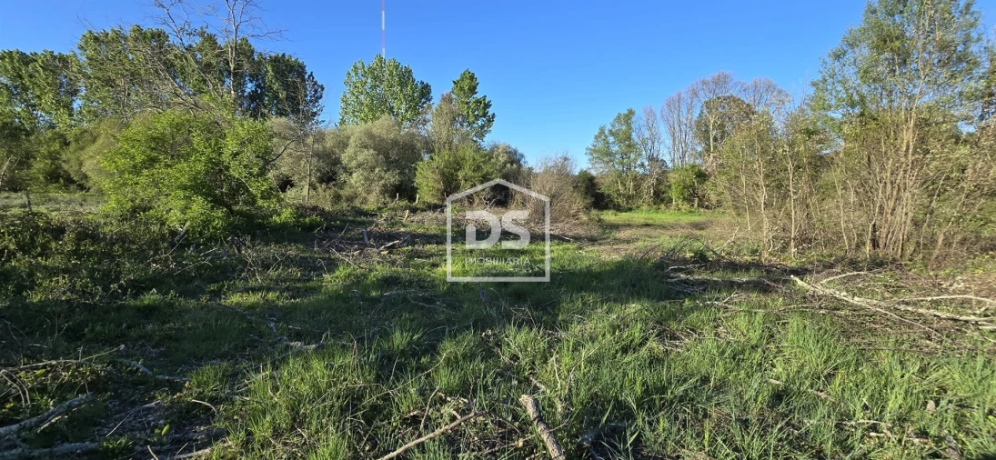 Terreno Agricola ou Rústico para Venda em Guarda Foto 5
