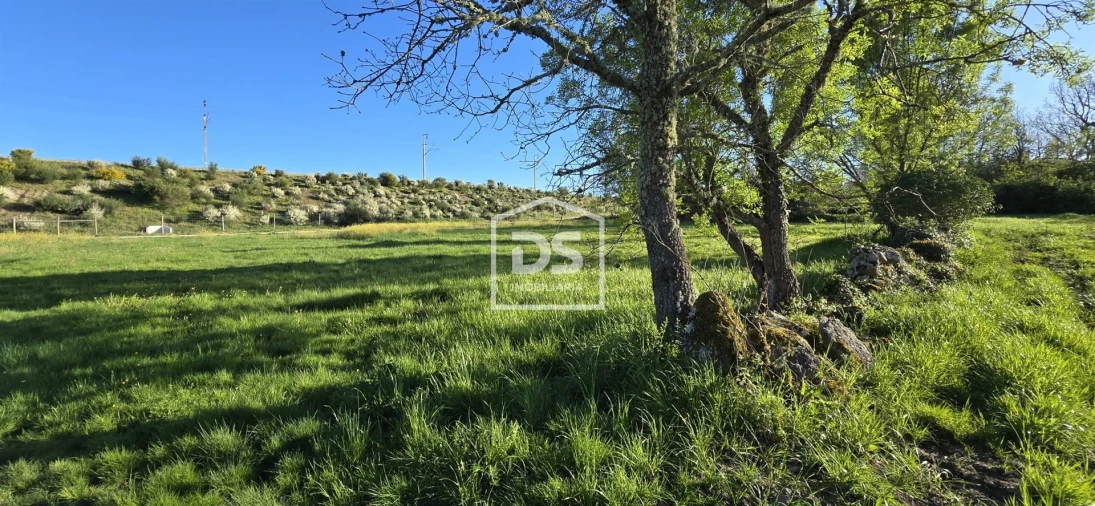 Terreno Agricola ou Rústico para Venda em Guarda Foto 11