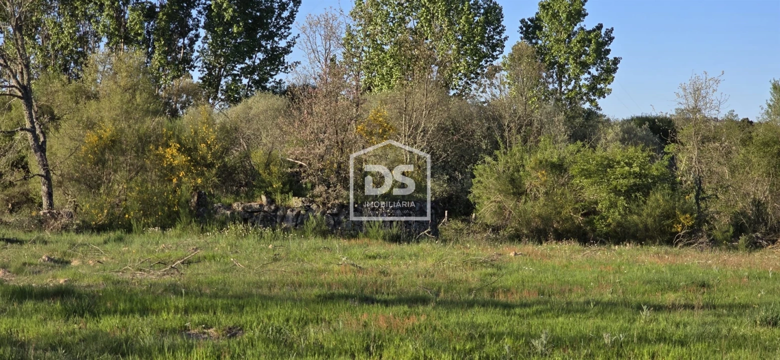 Terreno Agricola ou Rústico para Venda em Guarda Foto 1