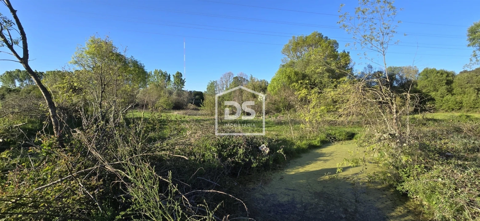 Terreno Agricola ou Rústico para Venda em Guarda Foto 9