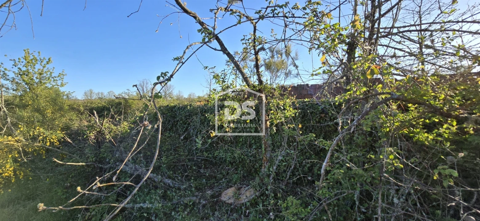Terreno Agricola ou Rústico para Venda em Guarda Foto 2