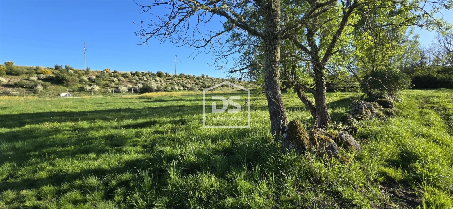 Terreno Agricola ou Rústico para Venda em Guarda Foto 11