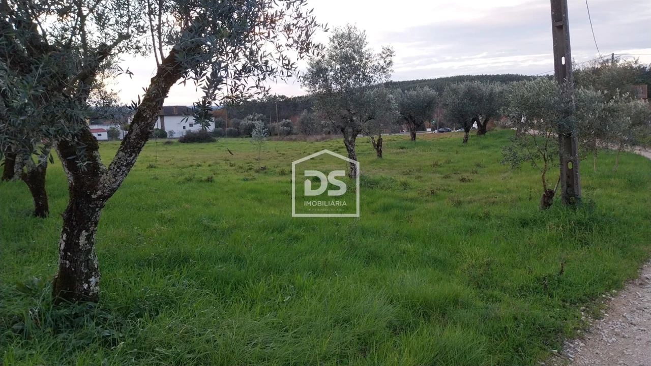 Terreno para Venda em Soure Foto 2
