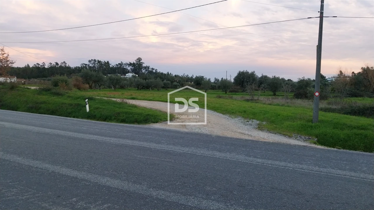 Terreno para Venda em Soure Foto 3