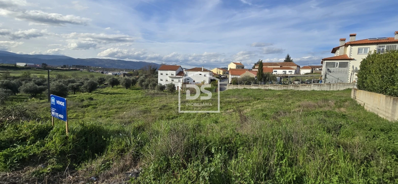 Terreno para Venda em Caria Foto 5
