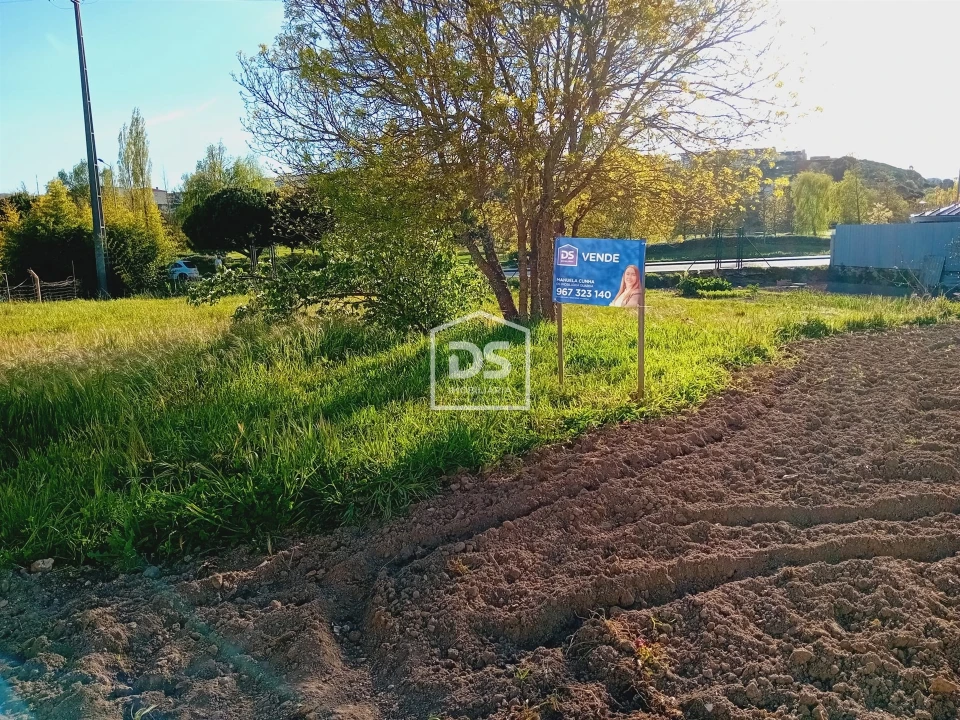 Terreno para Venda em Guarda Foto 2