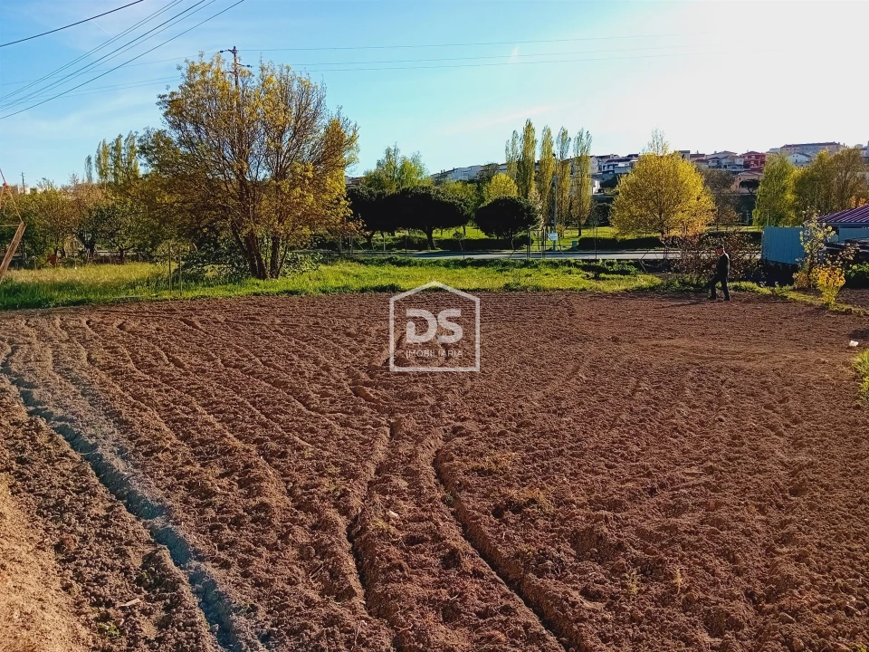 Terreno para Venda em Guarda Foto 13