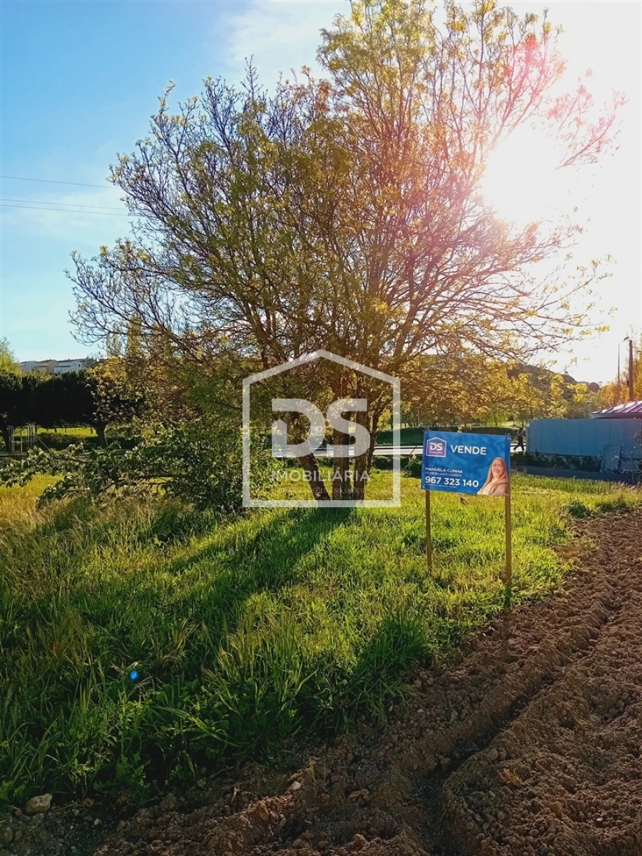 Terreno para Venda em Guarda Foto 9