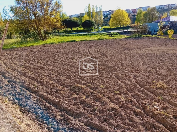 Terreno para Venda em Guarda Foto 12