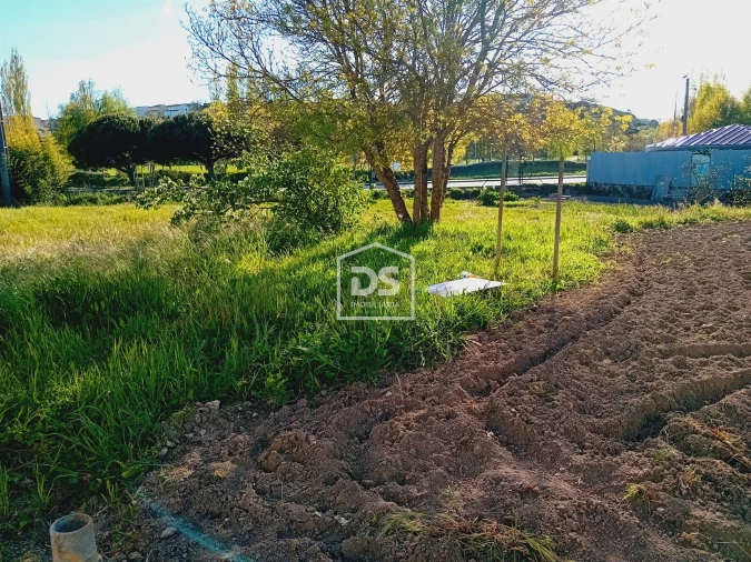 Terreno para Venda em Guarda Foto 11