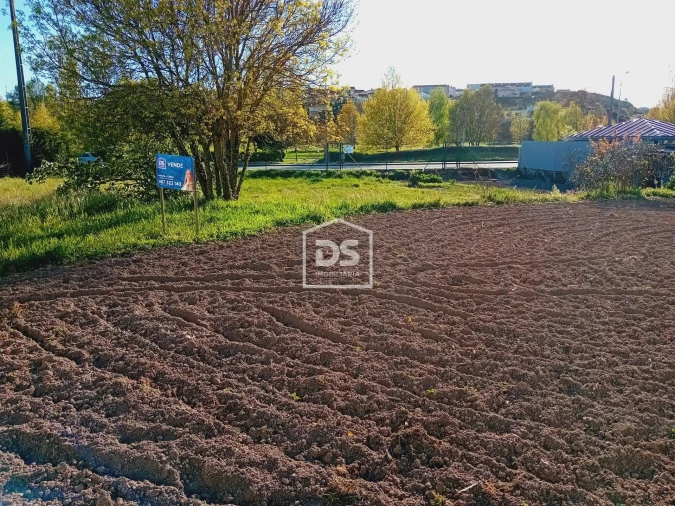 Terreno para Venda em Guarda Foto 1