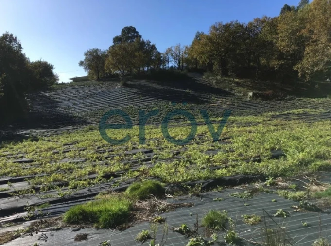 Quinta T0 para Venda em Serzedelo Foto 5