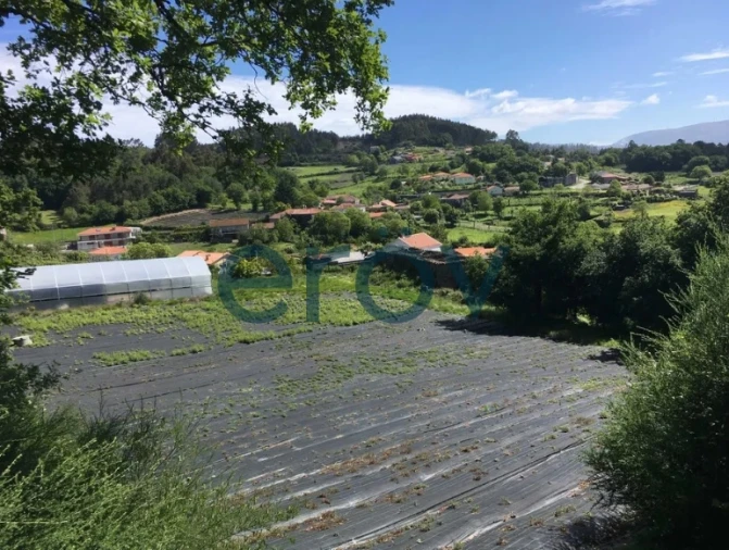 Quinta T0 para Venda em Serzedelo Foto 7