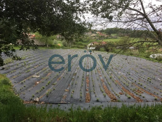 Quinta T0 para Venda em Serzedelo Foto 8