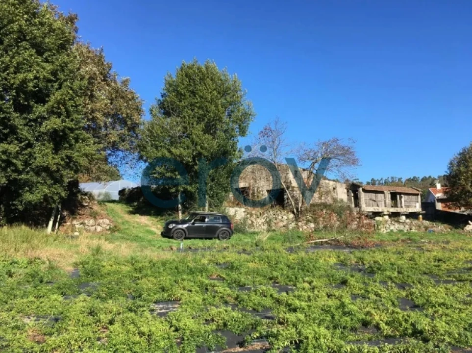 Quinta T0 para Venda em Serzedelo Foto 1