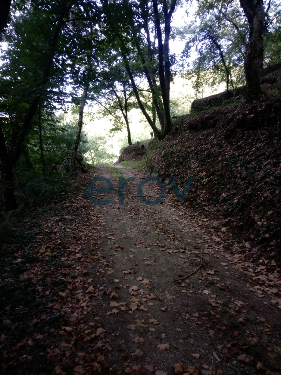 Terreno para Venda em Caniçada e Soengas Foto 7
