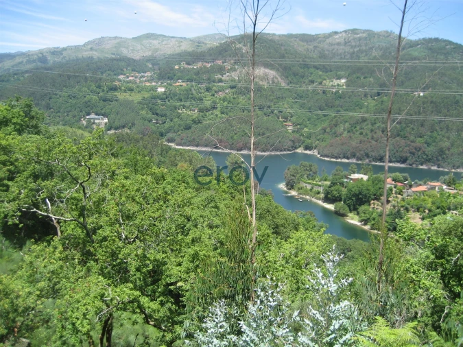 Terreno para Venda em Caniçada e Soengas