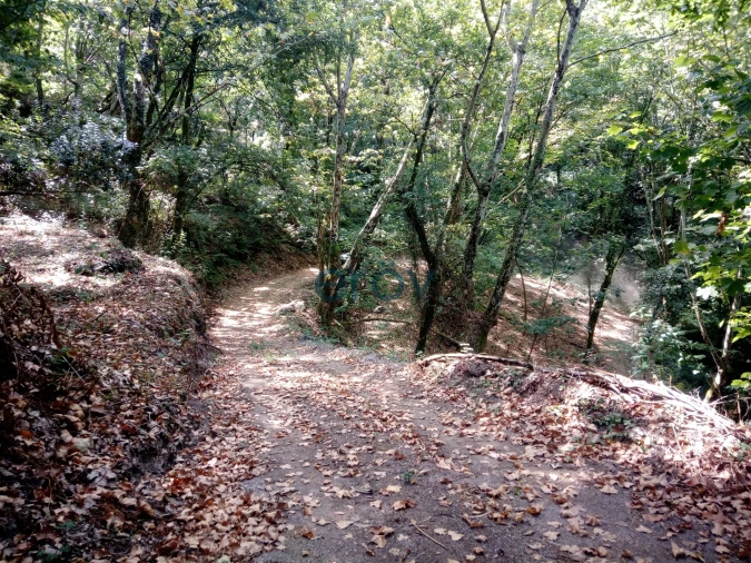 Terreno para Venda em Caniçada e Soengas Foto 5