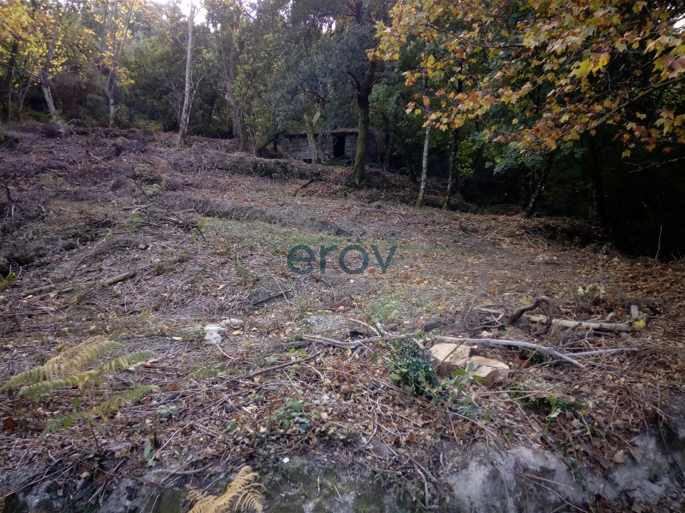 Terreno para Venda em Caniçada e Soengas Foto 10