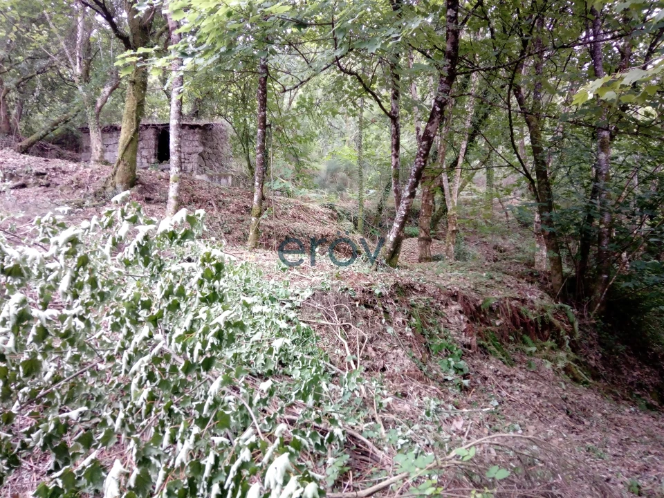 Terreno para Venda em Caniçada e Soengas Foto 8