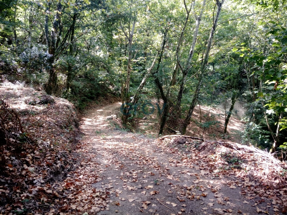 Terreno para Venda em Caniçada e Soengas Foto 5