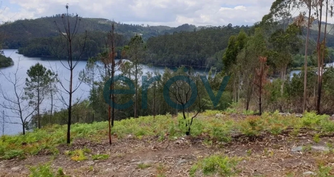 Terreno para Venda em Rossas Foto 6