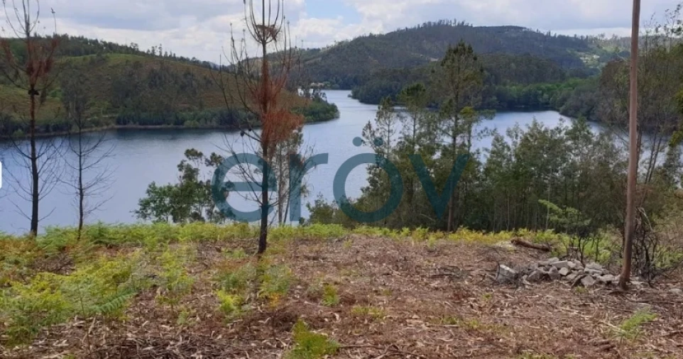 Terreno para Venda em Rossas Foto 3