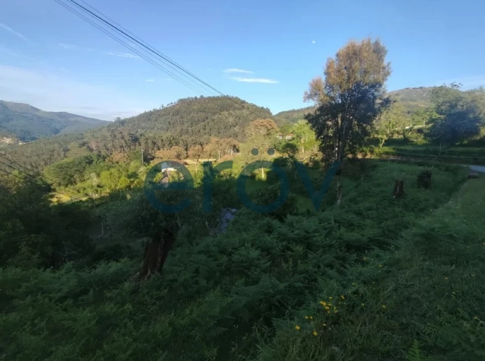 Terreno para Venda em Verim, Friande e Ajude Foto 6