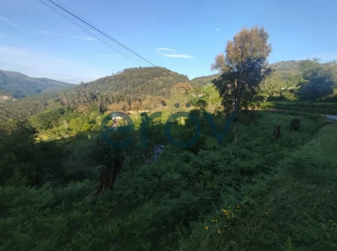Terreno para Venda em Verim, Friande e Ajude Foto 6