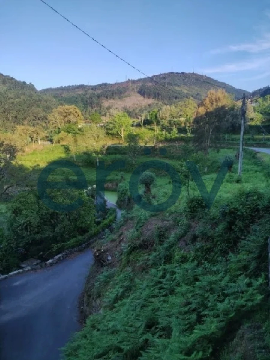 Terreno para Venda em Verim, Friande e Ajude Foto 4