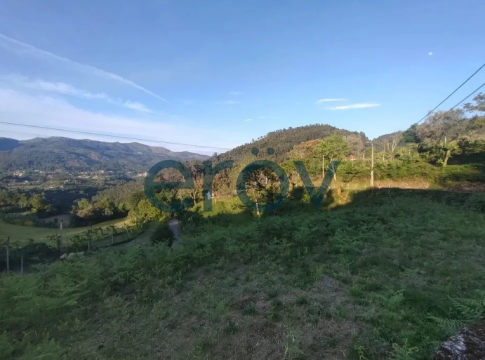 Terreno para Venda em Verim, Friande e Ajude Foto 5