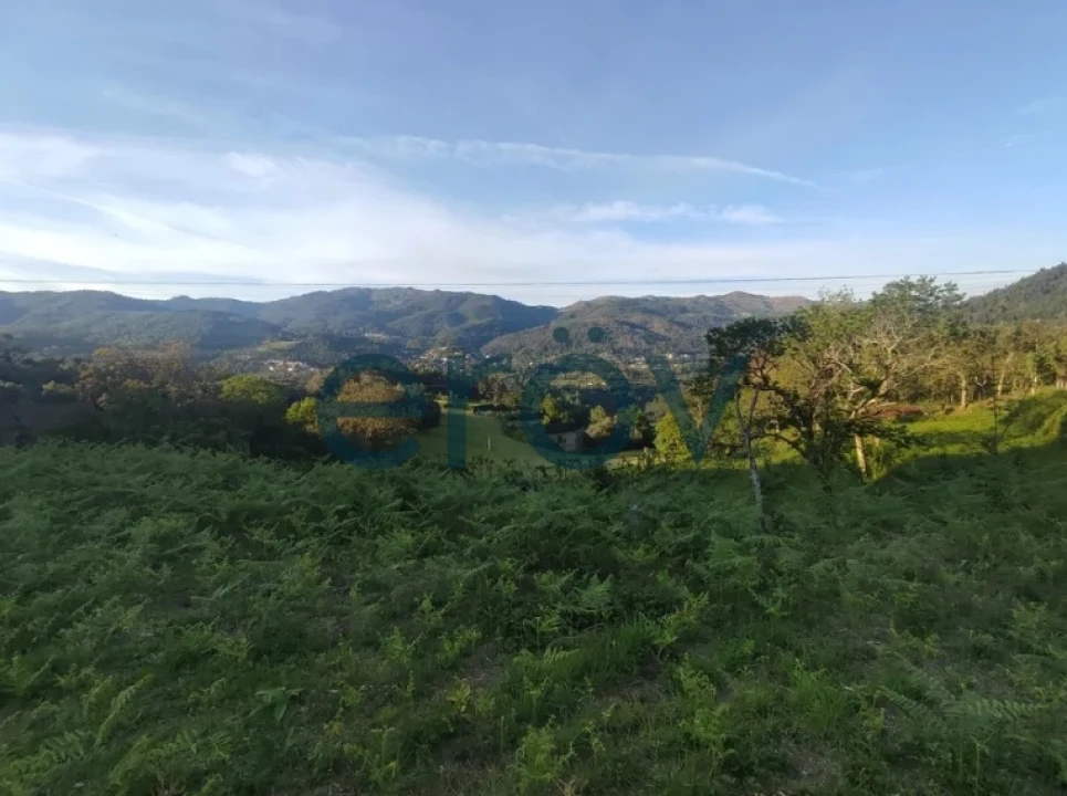Terreno para Venda em Verim, Friande e Ajude Foto 2